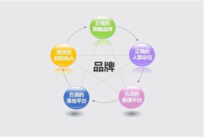 品牌策划：企业成长的风帆